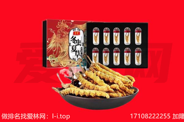 海南琼中县回收虫草.jpg